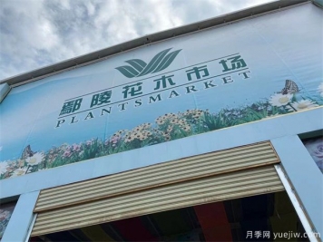 鄢陵县花木产业未必能想到的那些问题